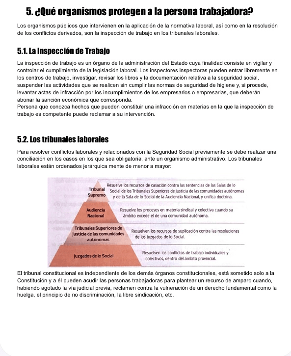 Miniatura del documento IMG9856.jpeg
