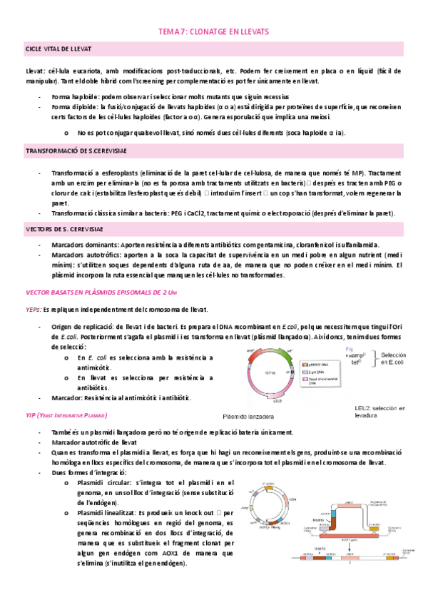 Miniatura del documento TEMA-7.docx.pdf