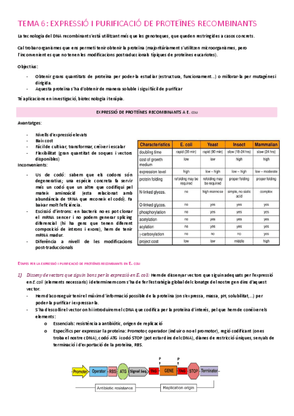 Miniatura del documento Copia-de-TEMA-6-EXPRESSIO-I-PURIFICACIO-DE-PROTEINES-RECOMBINANTS.docx.pdf