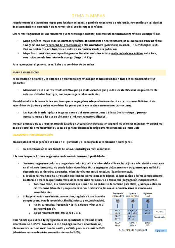 Miniatura del documento TEMA-2.pdf