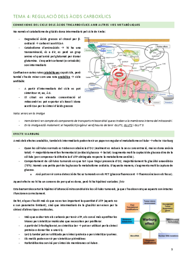 Miniatura del documento tema-4.pdf
