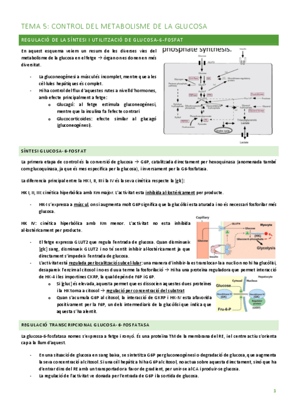 Miniatura del documento TEMA-5.pdf