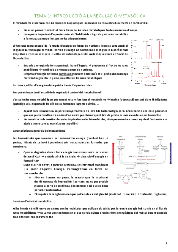 Miniatura del documento TEMA-1-RM.pdf