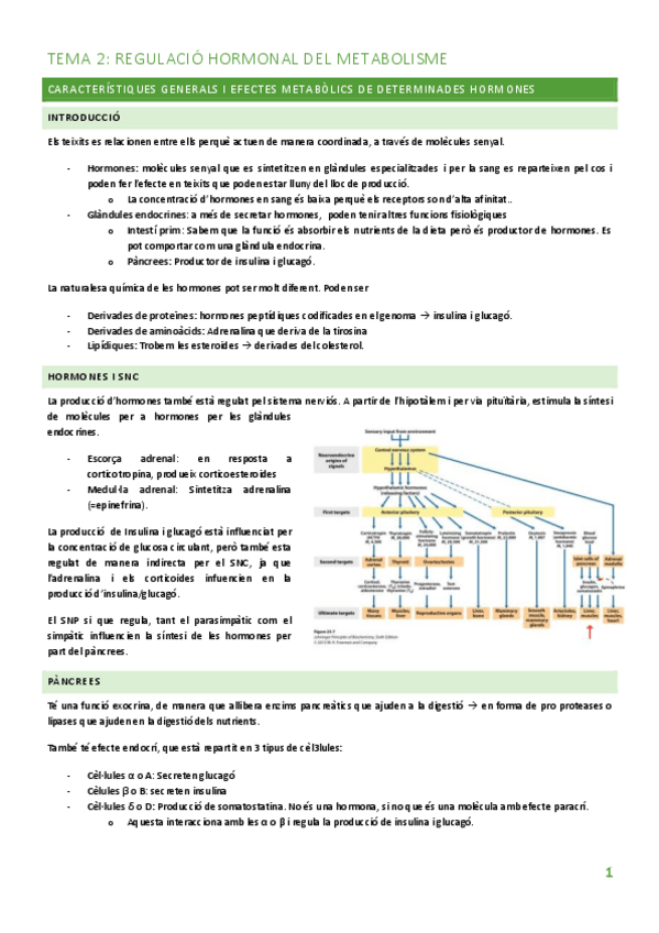 Miniatura del documento TEMA-2.pdf