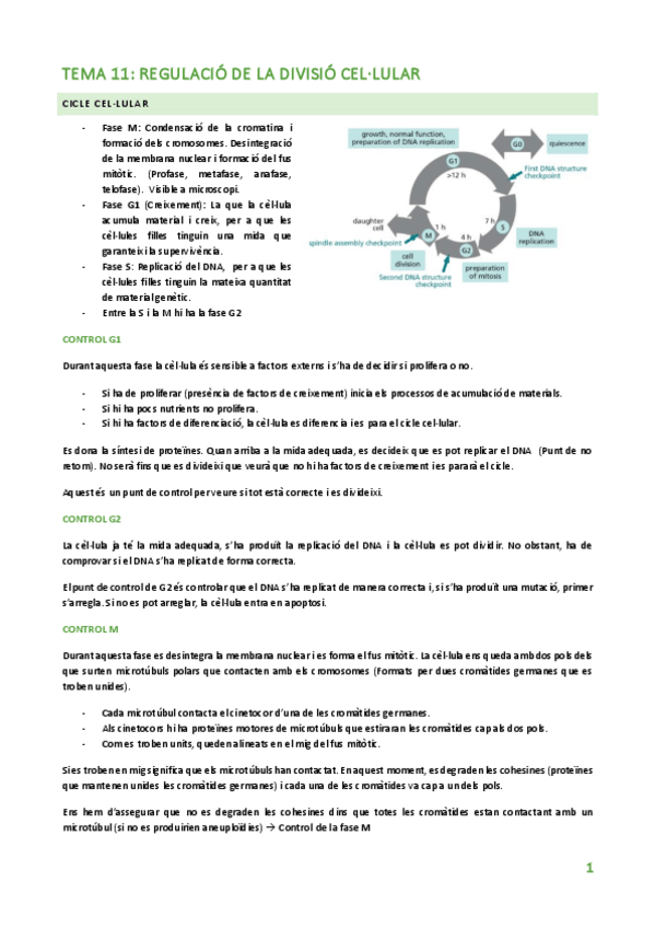 Miniatura del documento TEMA-11.pdf