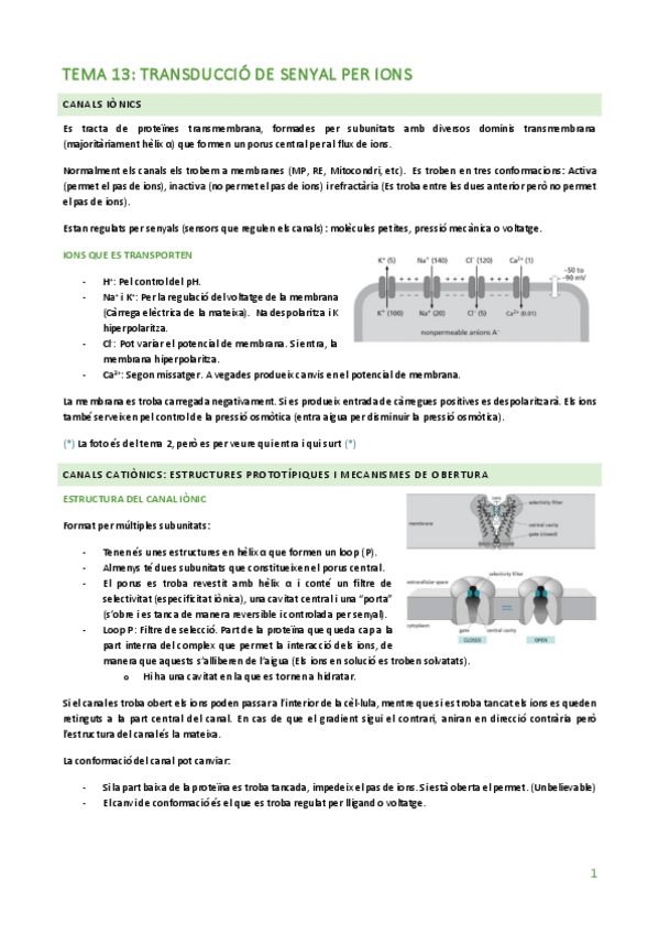 Miniatura del documento TEMA-13.pdf