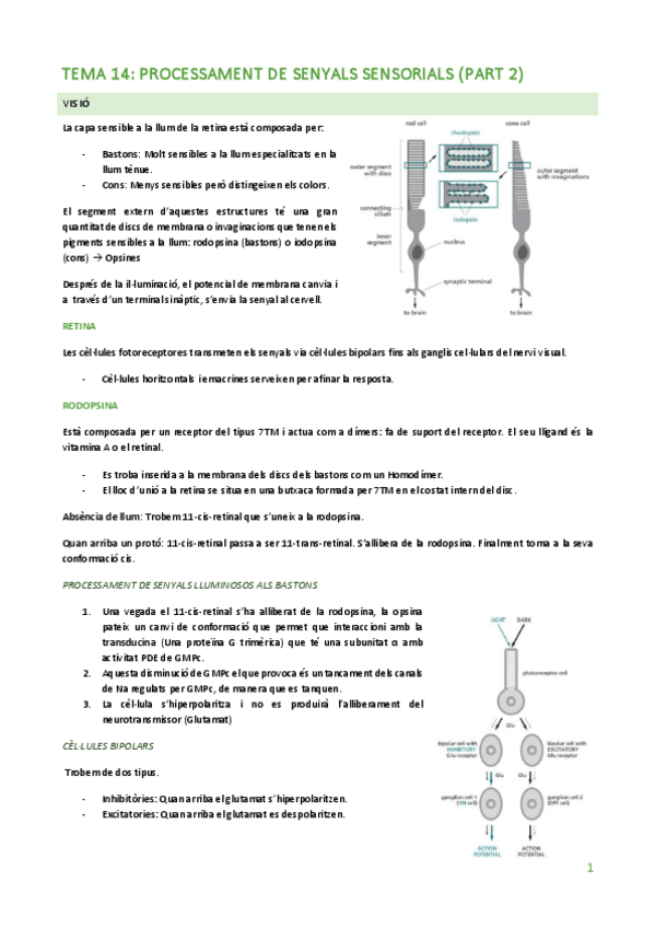 Miniatura del documento TEMA-14-SEGONA-PART.pdf