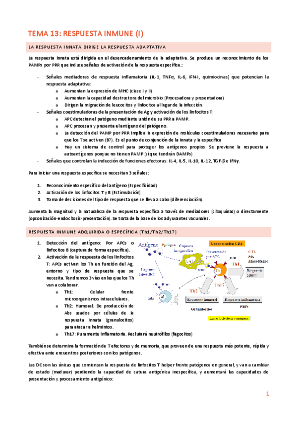 Miniatura del documento TEMA-13-RESPUESTA-ADAPTATIVA-I.pdf