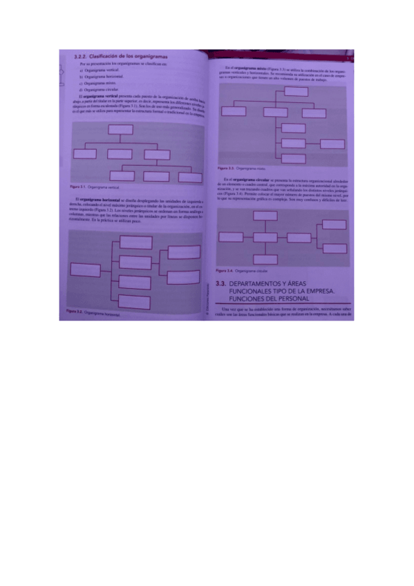Miniatura del documento Tipos-de-organigramas.pdf