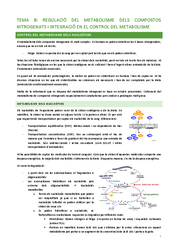 Miniatura del documento TEMA-8-1.pdf