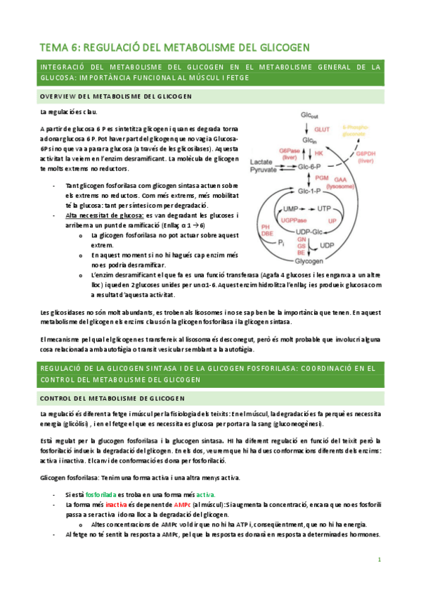 Miniatura del documento TEMA-6.pdf