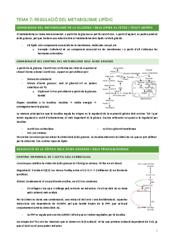 Miniatura del documento TEMA-7.pdf