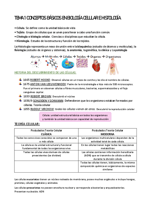 Miniatura del documento TEMA-1.pdf