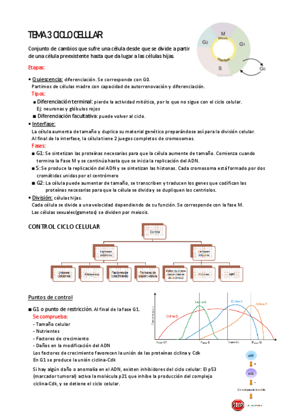 Miniatura del documento TEMA-3-CICLO-CELULAR.pdf