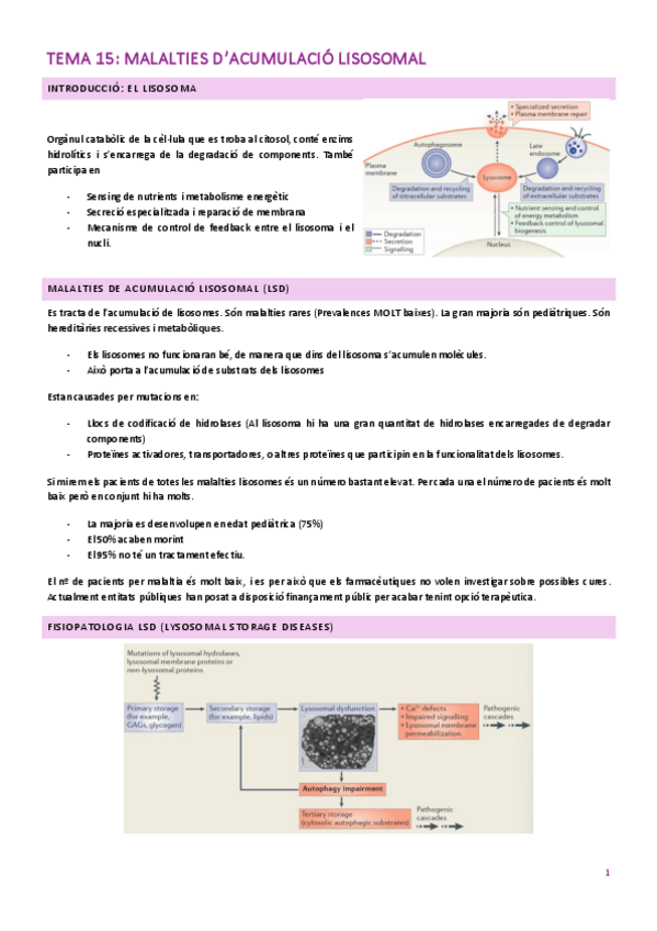 Miniatura del documento TEMA-15.pdf