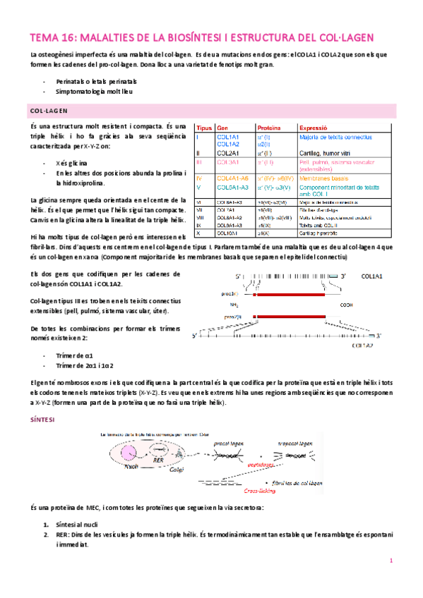 Miniatura del documento TEMA-16.pdf