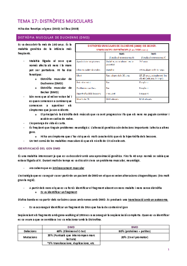 Miniatura del documento TEMA-17.pdf