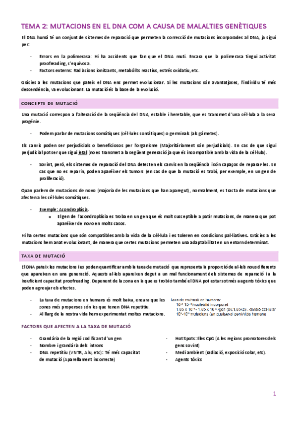Miniatura del documento TEMA-2.pdf