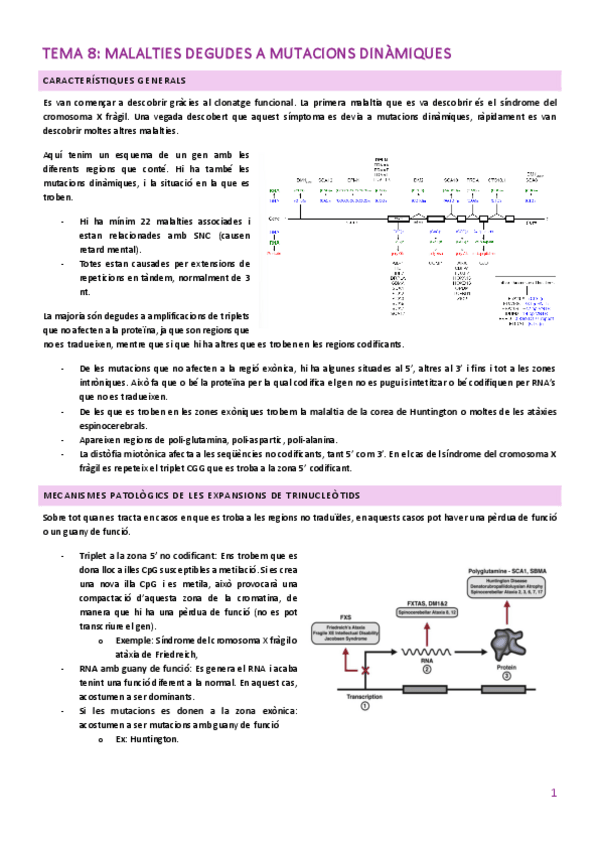 Miniatura del documento TEMA-8-2.pdf