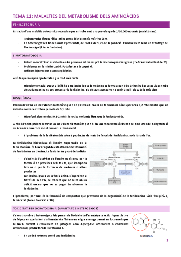 Miniatura del documento TEMA-11-2.pdf