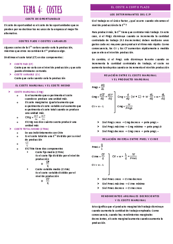 Miniatura del documento TEMA-4.pdf