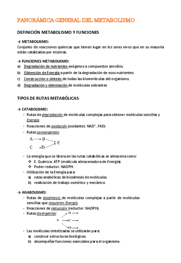 Miniatura del documento BLOQUE-METABOLISMO.pdf