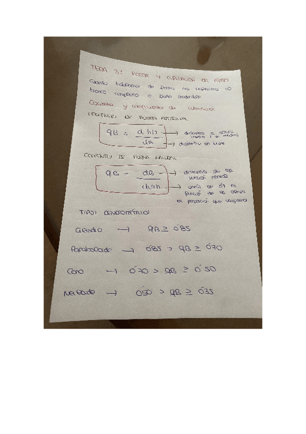 Miniatura del documento TEMA-3.pdf