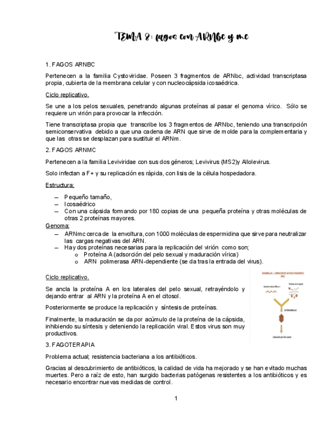 Miniatura del documento TEMA-8-VIROLOGIA.pdf