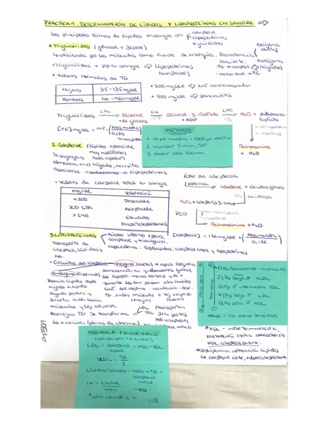 Miniatura del documento PRACTICAS-BIOQUIMICA-II.pdf