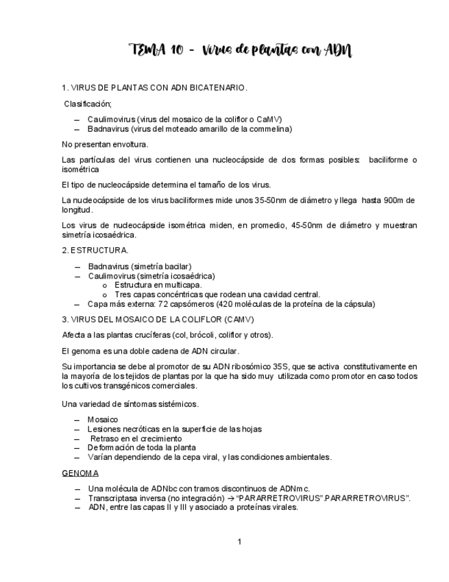 Miniatura del documento TEMA-10-VIROLOGIA.pdf