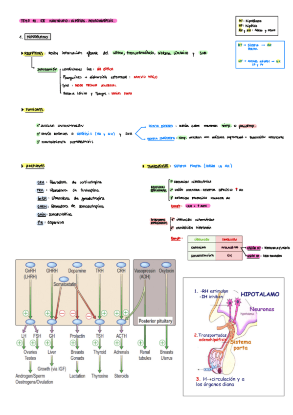 Miniatura del documento esquemas-resumen-tema-18.pdf