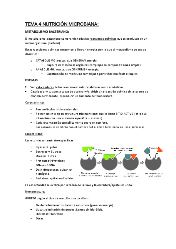 Miniatura del documento T4-Nutricion-microbiana.pdf
