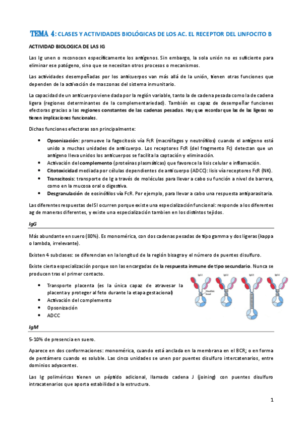 Miniatura del documento Tema-4-Clases-y-actividades-biologicas-de-los-Ac.-BCR.pdf