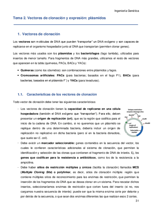Miniatura del documento Tema-2.pdf