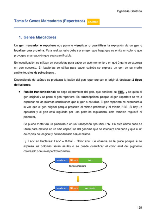 Miniatura del documento Tema-6.pdf