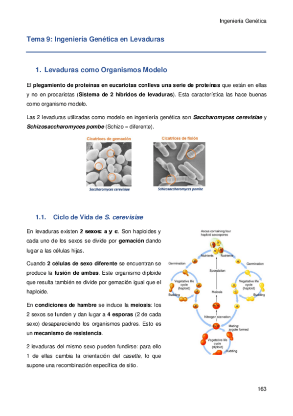 Miniatura del documento Tema-9.pdf