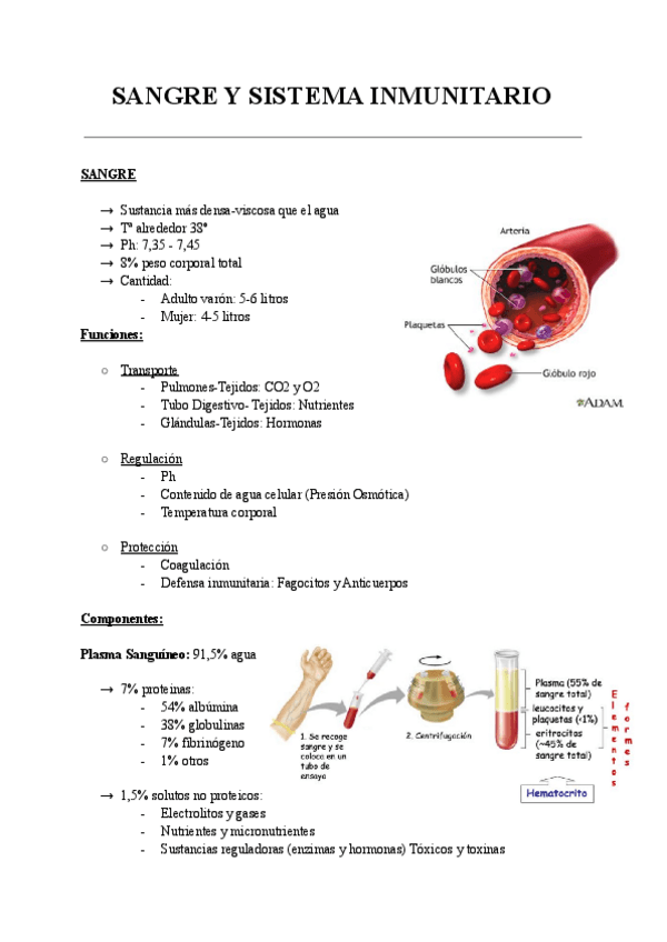 Miniatura del documento SANGRE-Y-SISTEMA-INMUNITARIO.pdf
