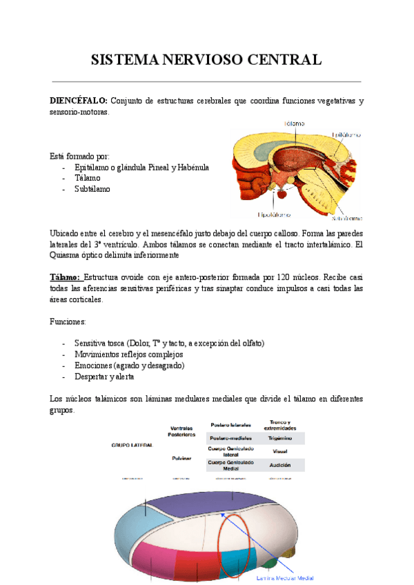 Miniatura del documento SISTEMA-NERVIOSO-CENTRAL.pdf