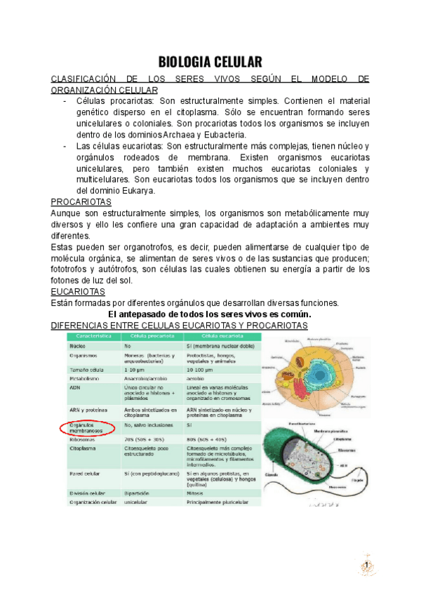 Miniatura del documento BIOLOGIA-CELULAR.pdf