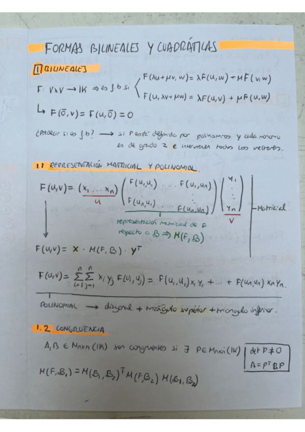 Miniatura del documento formas-bilineales-y-cuadraticas.pdf
