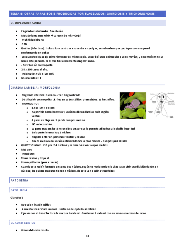 Miniatura del documento tema-4.pdf