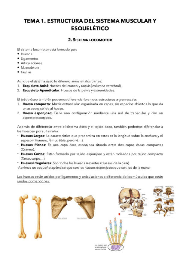 Miniatura del documento Tema-1-Valoracion-Pablo-Navas.pdf