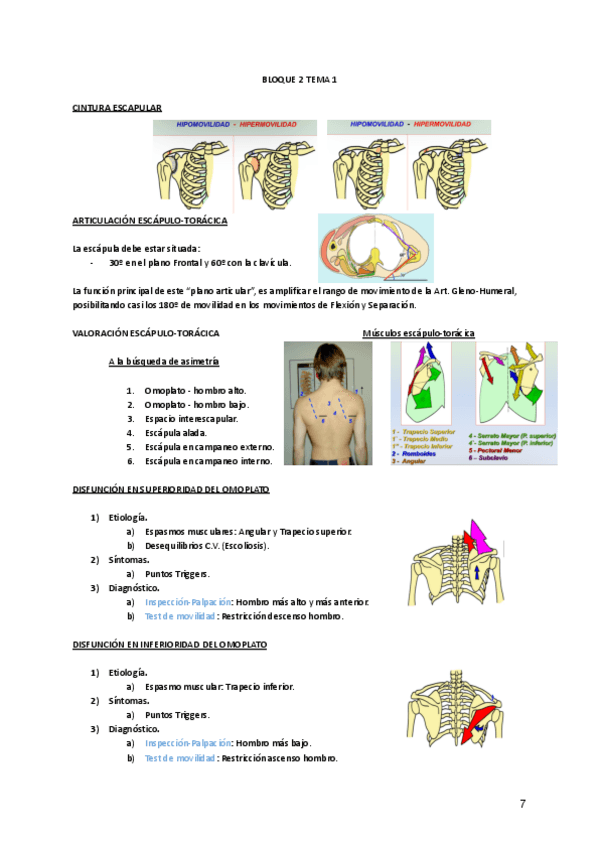 Miniatura del documento Tema-2.1-Valoración Analítica y Funcional.pdf