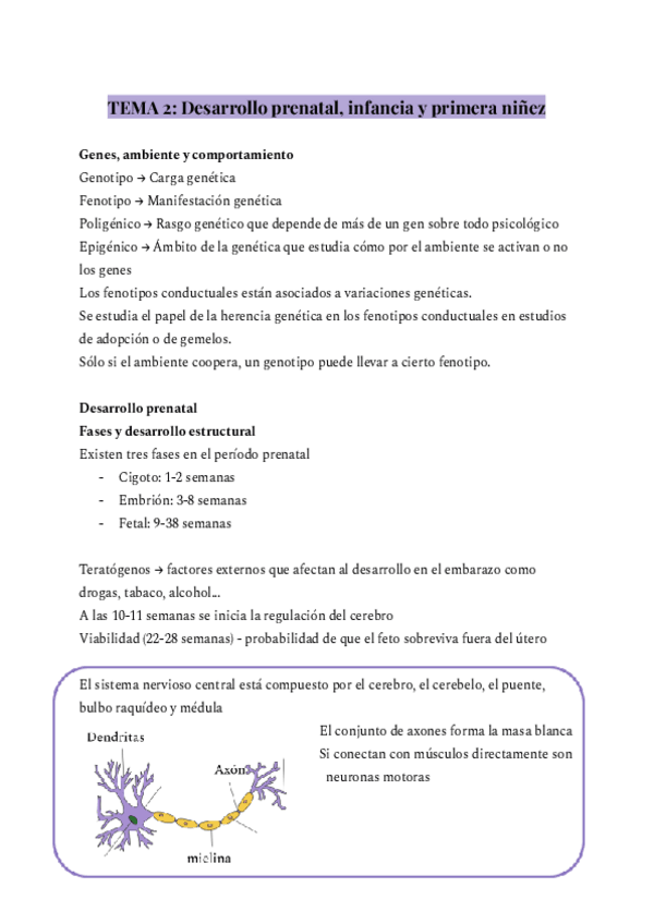 Miniatura del documento TEMA-2-Desarrollo-prenatal-infancia-y-primera-ninez.pdf