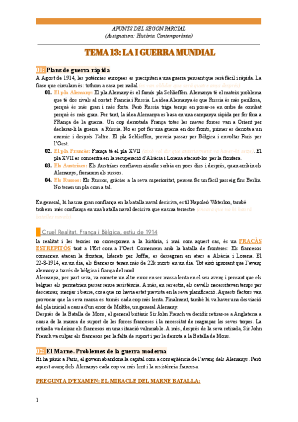 Miniatura del documento TEMA-13-LA-I-GUERRA-MUNDIAL-H.C.pdf