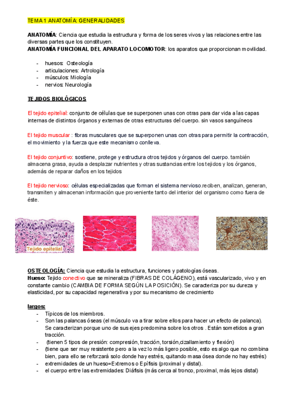 Miniatura del documento ANATOMIA-T1-GENERALIDADES.pdf