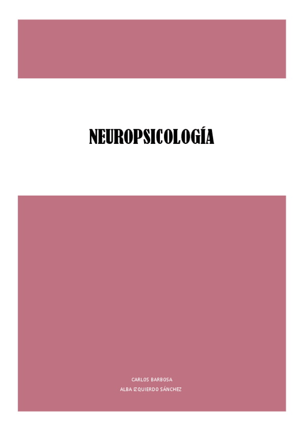 Miniatura del documento APUNTES-DE-NEUROPSICOLOGIA.pdf