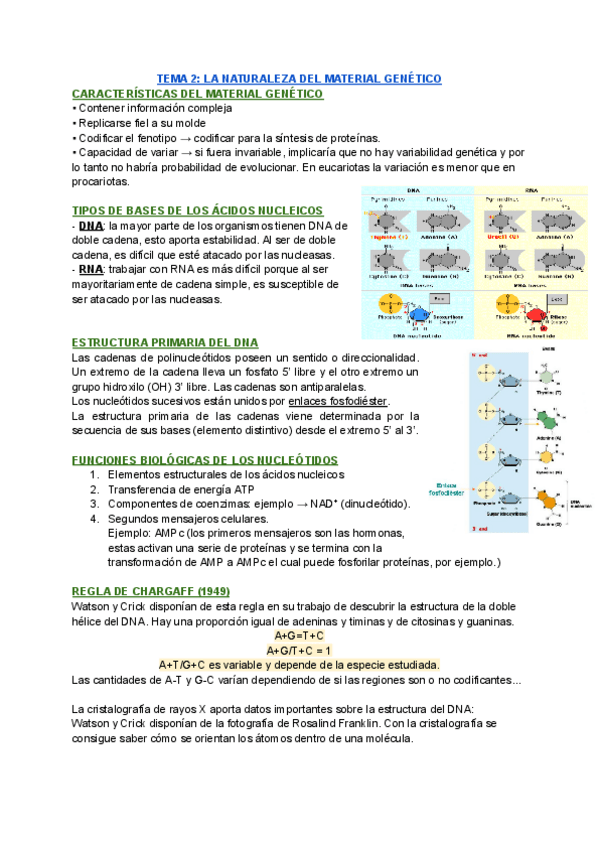 Miniatura del documento TEMA-2-LA-NATURALEZA-DEL-MATERIAL-GENETICO.pdf