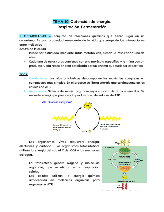 Miniatura del documento TEMA-10-Obtencion-de-energia.pdf