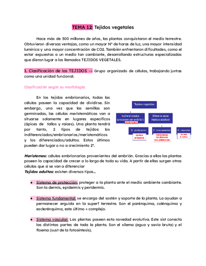 Miniatura del documento TEMA-12-Tejidos-vegetales.pdf